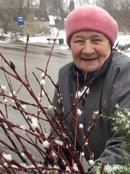 Pūpolsvētdienā bez pūpoliem nevar! Ludmila Belokoņa parūpējusies, lai pūpolzaru netrūktu pašai un arī draudzenei. Tos svētīs katoļu baznīcā un nesīs pēc tam mājās kā dārgumu Lieldienu gaidīšanas laikā. 
Autors: Diāna Odumiņa