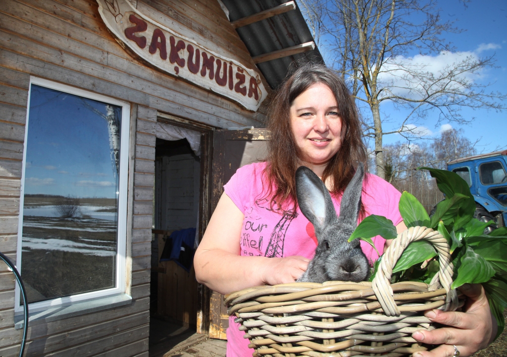 Kas gan būtu Lieldienas bez Lieldienu zaķiem! “Zaķumuižas”, kura atrodas Beļavas pagastā, saimniece Tatjana Ābeltiņa jokojot saka, ka tiem, kuriem mājās ir Lieldienu zaķi, Lieldienās vienmēr būs krāsainas olas. Aptuveni pirms četriem gadiem viņa pievērsās garaušu audzēšanai, un pa šiem gadiem “Zaķumuižā” dzīvojuši aptuveni 1000 garauši.	
Autors: Gatis Bogdanovs