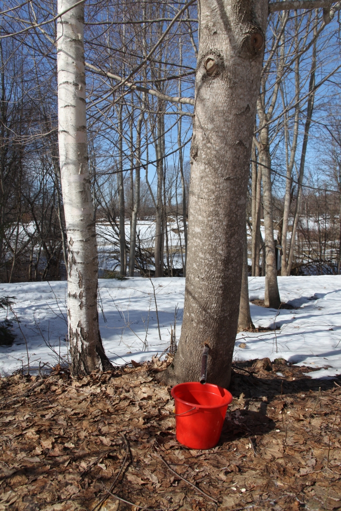 Autors: Gatis Bogdanovs