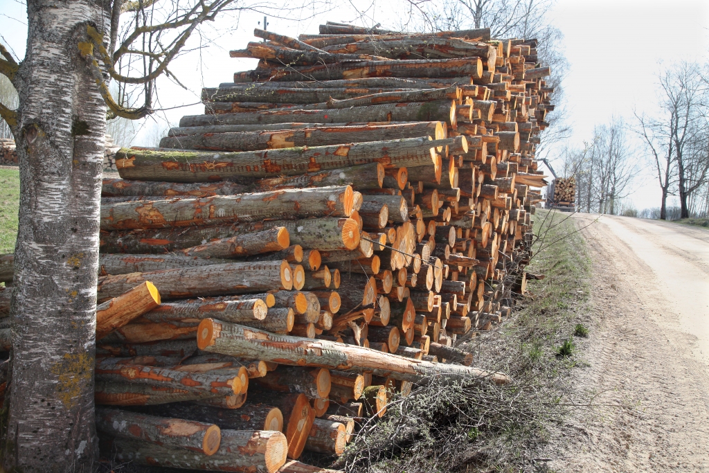 Autors: Gatis Bogdanovs