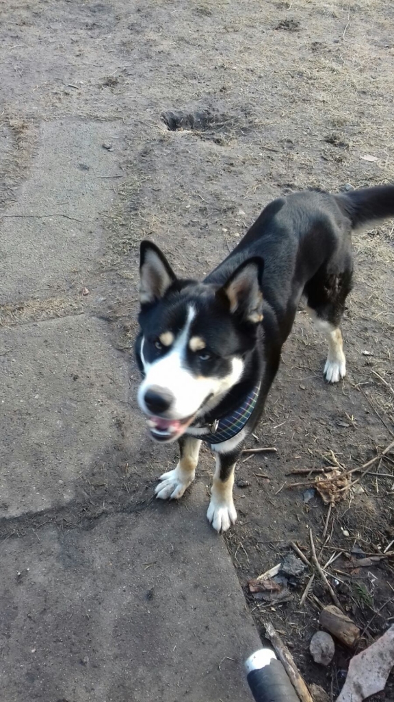 Autors: no privāta arhīva