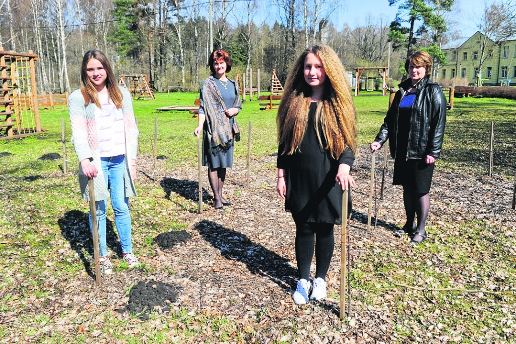Aluksniesiem.lv raksta attēla aizvietotājs