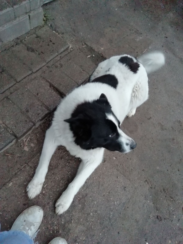 Autors: no personiskā arhīva