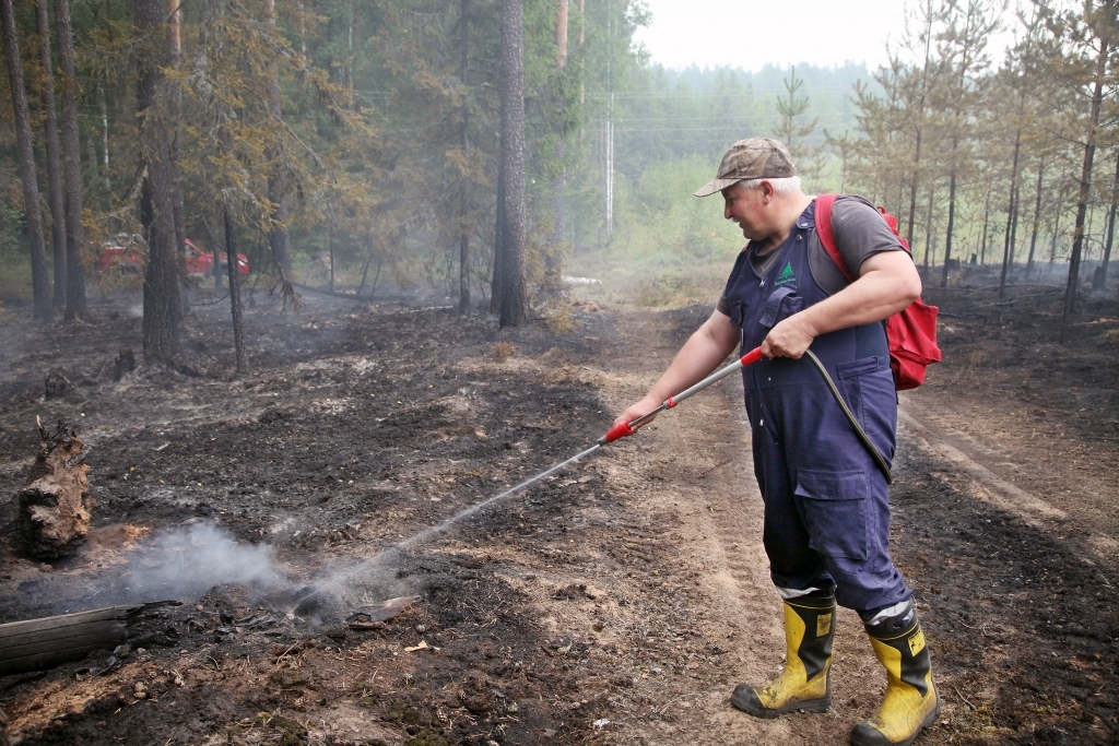Ziemeļaustrumu virsmežniecības inženieris ugunsapsardzības jautājumos Pēteris Drozdovs ne reizi vien ir dzēsis meža ugunsgrēku ar mugursomu plecos, kurā ir smidzinātājs ar 25 litriem ūdens. 
Autors: Gatis Bogdanovs