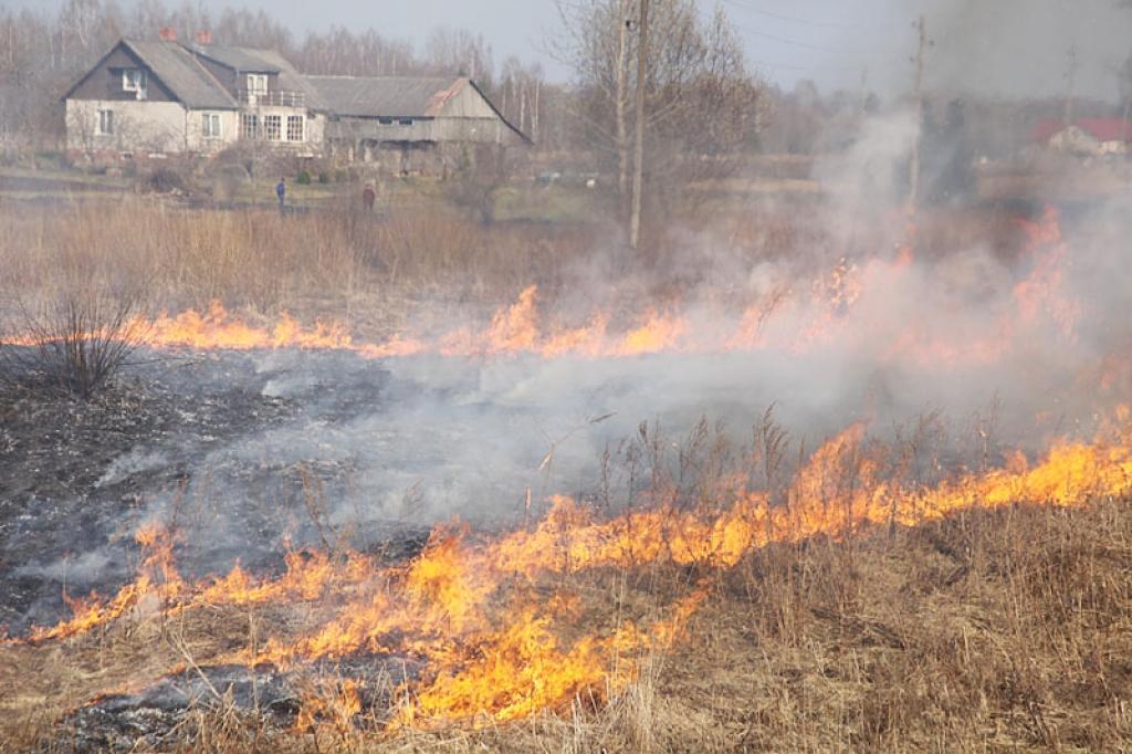 Autors: no Dzirksteles arhīva