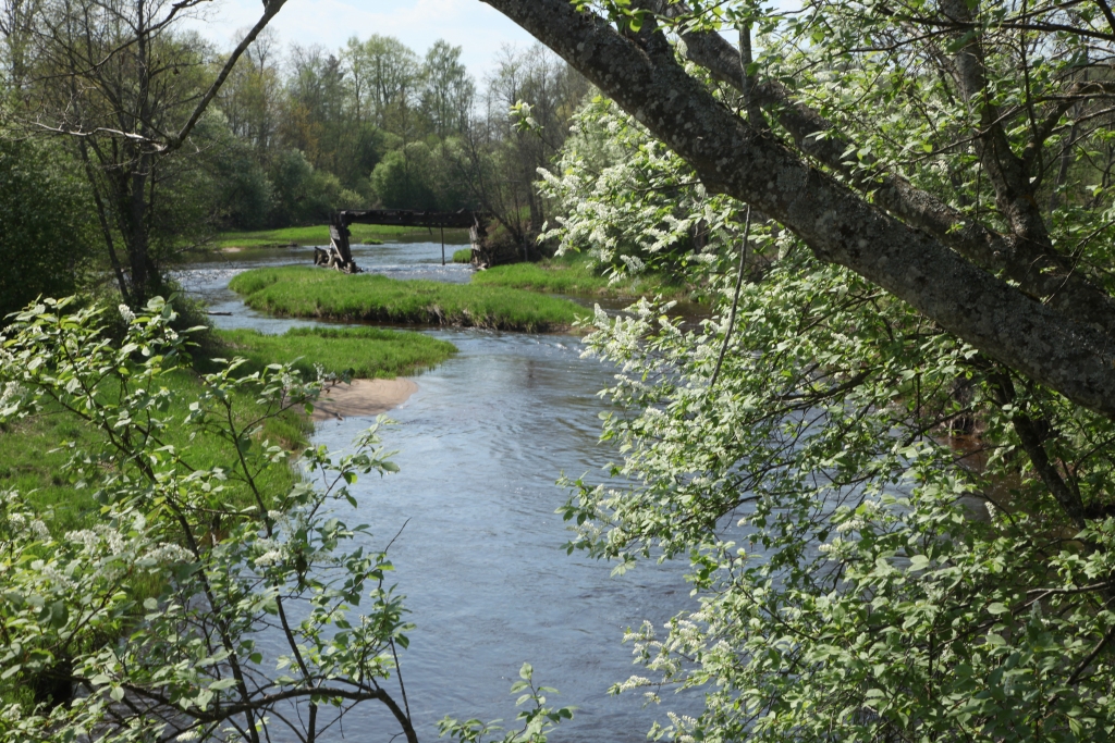 Autors: no “Dzirksteles” arhīva