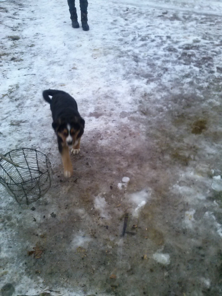 Autors: no personiskā arhīva