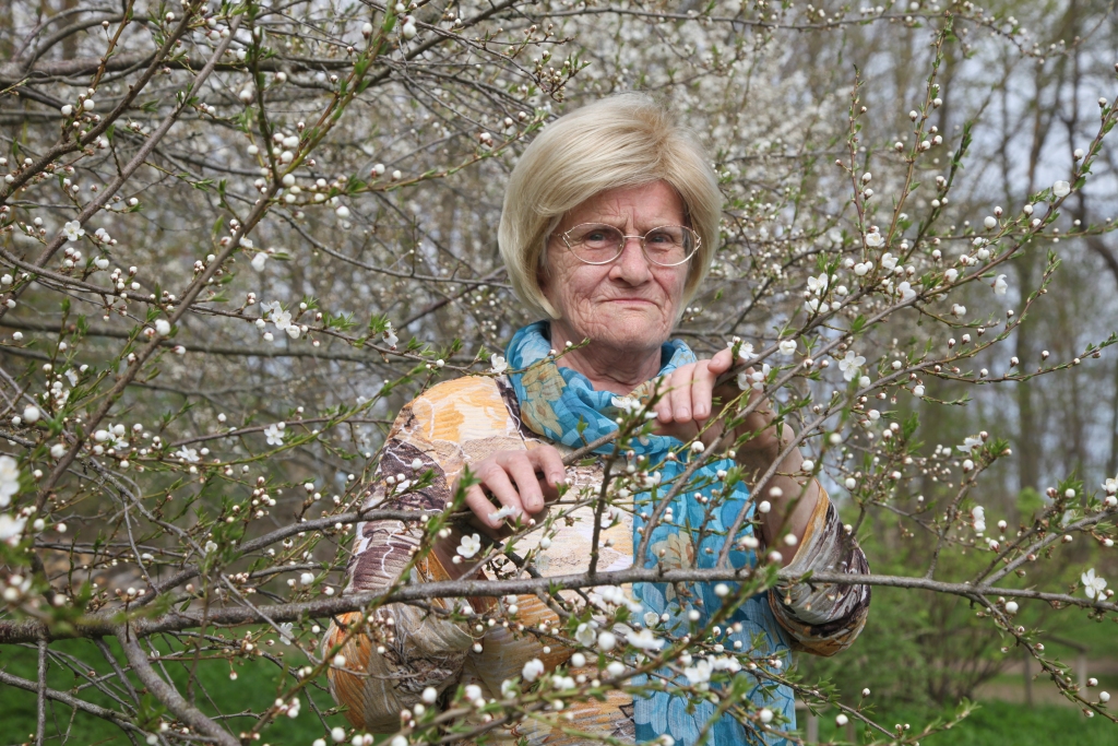 Antoņinas Ziediņas ikdiena aizrit, klusām saimniekojot savās mājās ar nosaukumu “Imantas”. Tur tagad krāšņi saziedējušas plūmes, pie mājas zied tulpes, iekopts arī dārziņš. “Darāmā pietiek,” saka Antoņina.
Autors: Gatis Bogdanovs