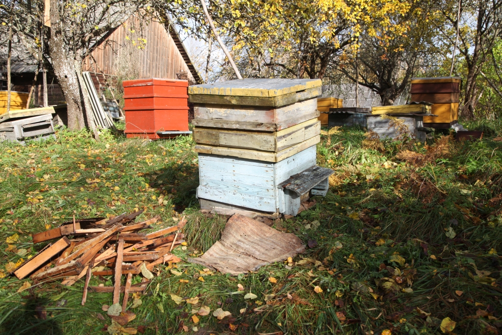 Autors: no “Dzirksteles” arhīva