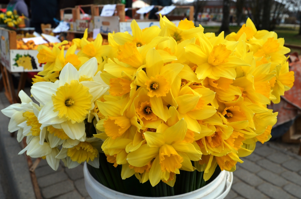 Autors: no Gulbenes tūrisma aģentūras arhīva