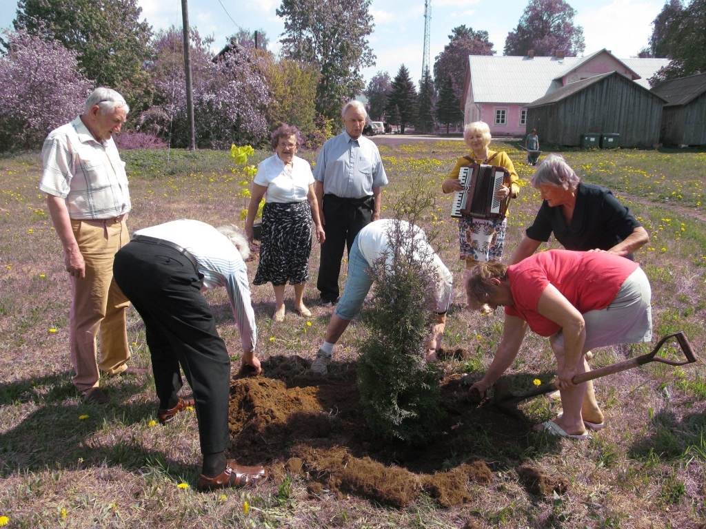 Lejasciemā sajūtu parks jau tiek stādīts. To apliecina fotogrāfijās iemūžinātie mirkļi. Stādīšanas talkas notika gan pagājušajā, gan šajā nedēļā. 
Autors: no personiskā arhīva