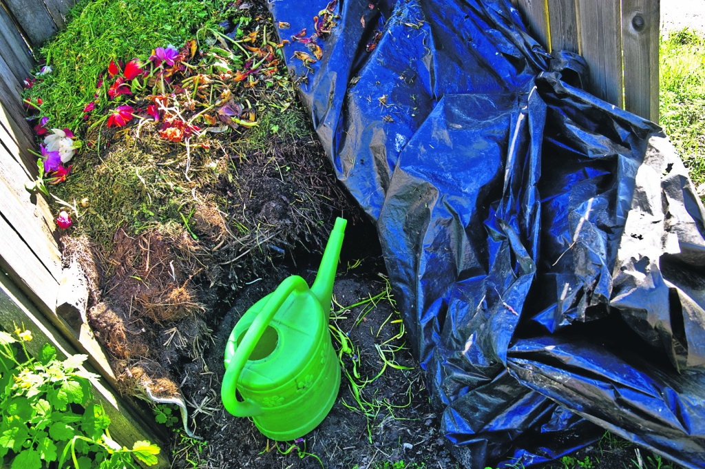 Autors: Raitis Puriņš