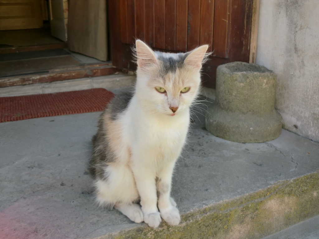 Autors: no personiskā arhīva