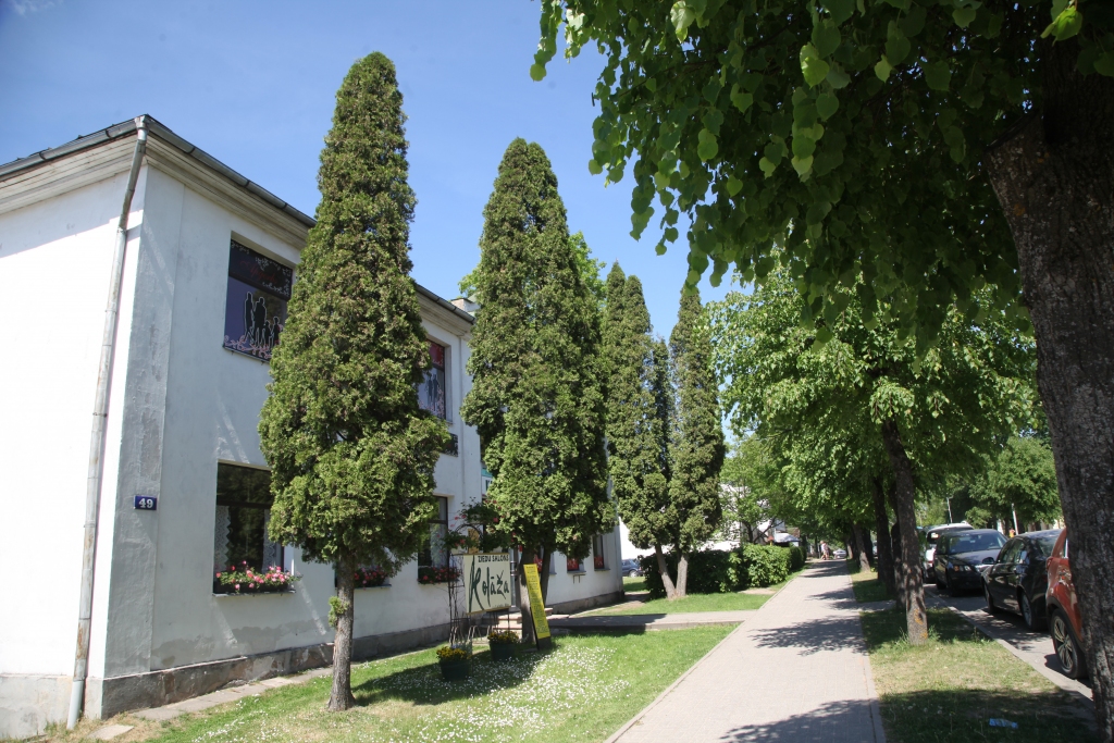 Lai arī ir atļauts nozāģēt tūjas, vietā tomēr būšot jādomā par kādu citu zaļumu iestādīšanu.
Autors: Gatis Bogdanovs