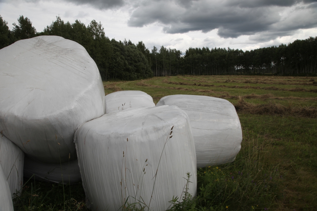 Autors: no “Dzirksteles” arhīva