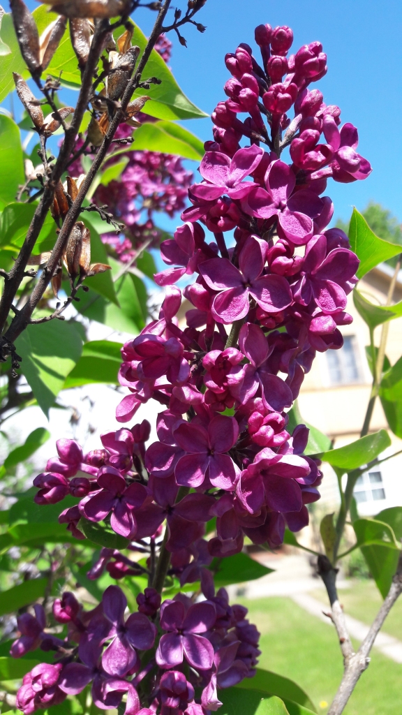 Autors: Gatis Bogdanovs