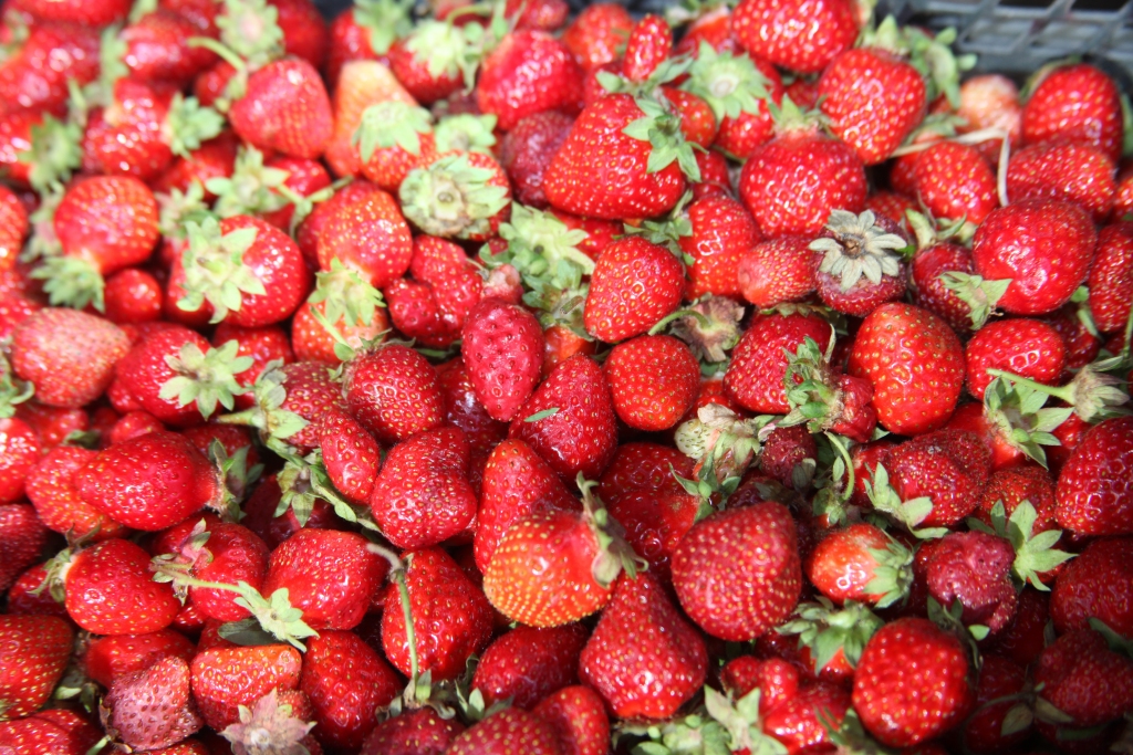 Autors: no “Dzirksteles” arhīva