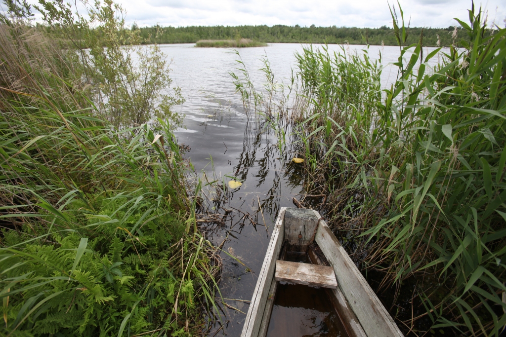 Autors: no “Dzirksteles” arhīva