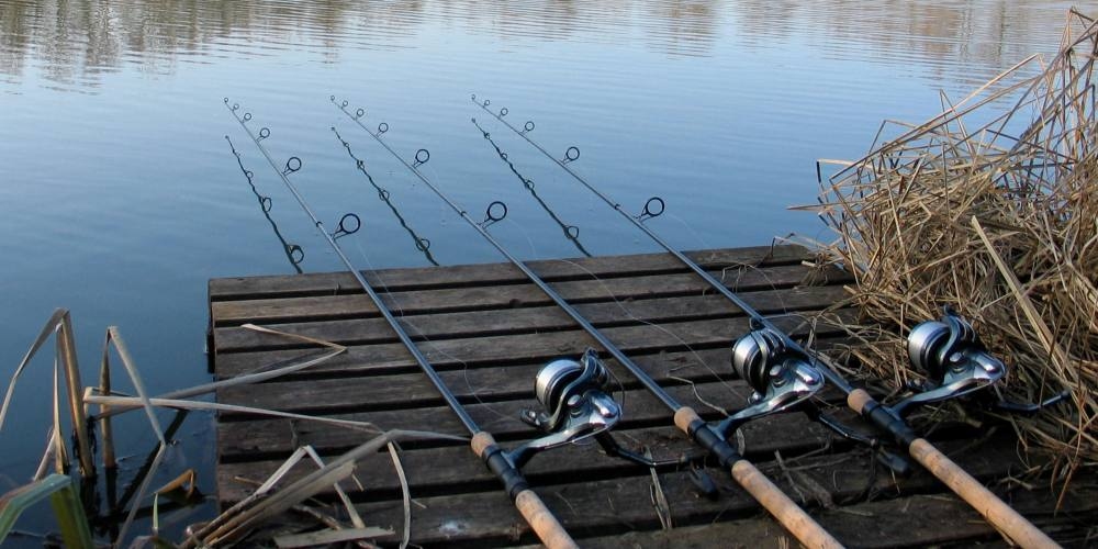 Autors: ilustratīvs foto