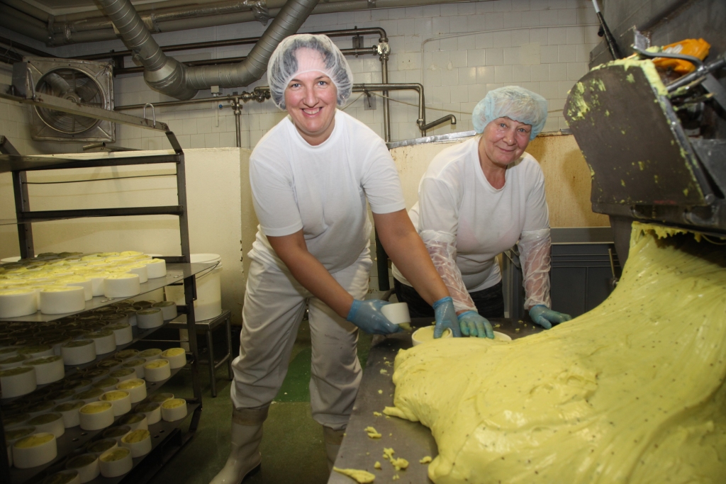 Agrā rītā izripo saulīte un dodas zeltīt dienu. Gadās, ka noripo arī pa lietus lāsei, bet visaktīvāk ripo siera ritulīši ar tīkamu piena smaržu, gludi un spīdīgi ar aromātiskām ķimeņu sēkliņām. Tas ir “Jāņu siers”, kuram vasaras saulgrieži atnes laimīgas dienas, jo tiek likts goda vietā uz svētku galda. Lai tā netrūktu nevienam, nenogurstoši gādā AS “Rankas piens” “Jāņu siera” ceha strādnieces (no kreisās) Ita Dzene-Pommere un Kitija Kandere. 
Autors: Gatis Bogdanovs