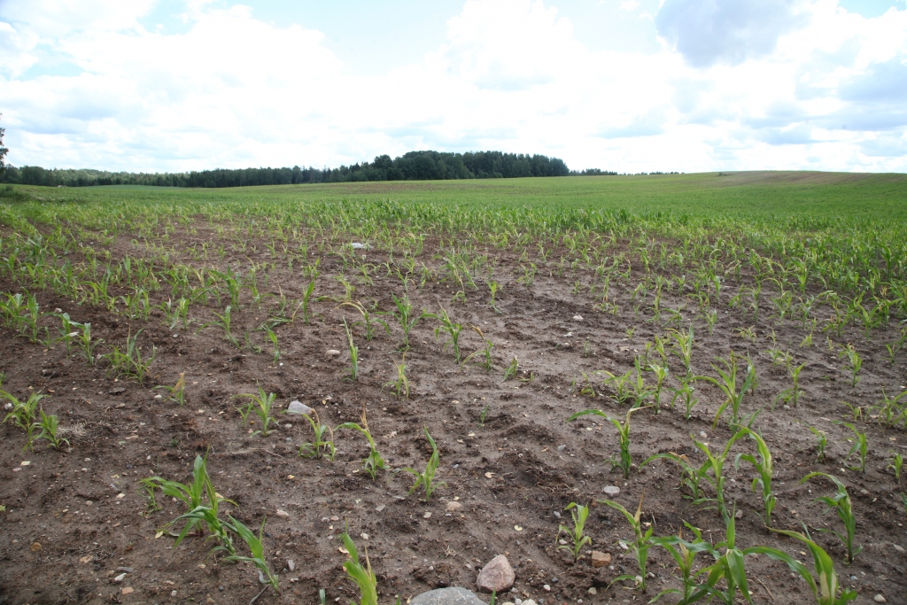 Autors: Gatis Bogdanovs