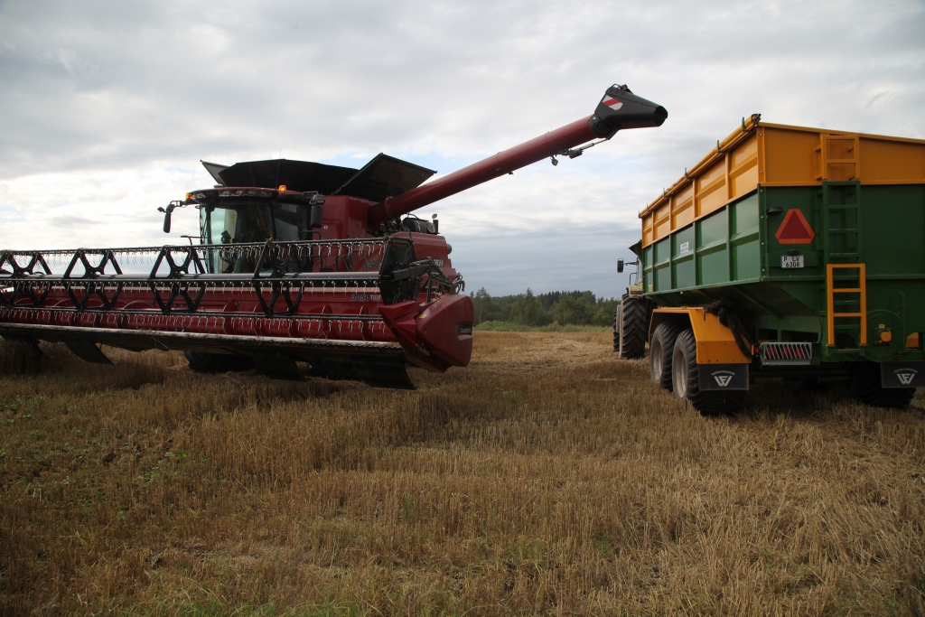 Autors: no Dzirksteles arhīva