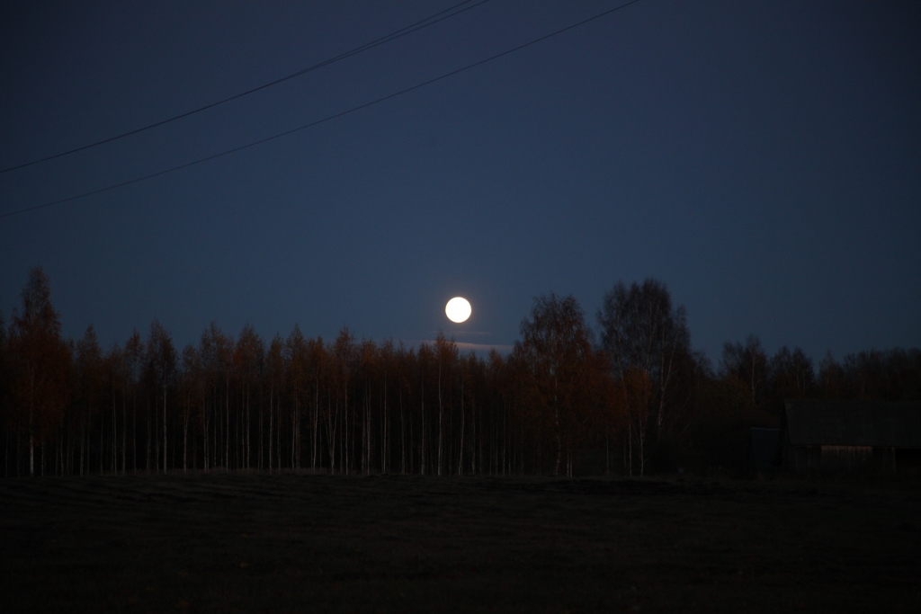 Autors: Gatis Bogdanovs