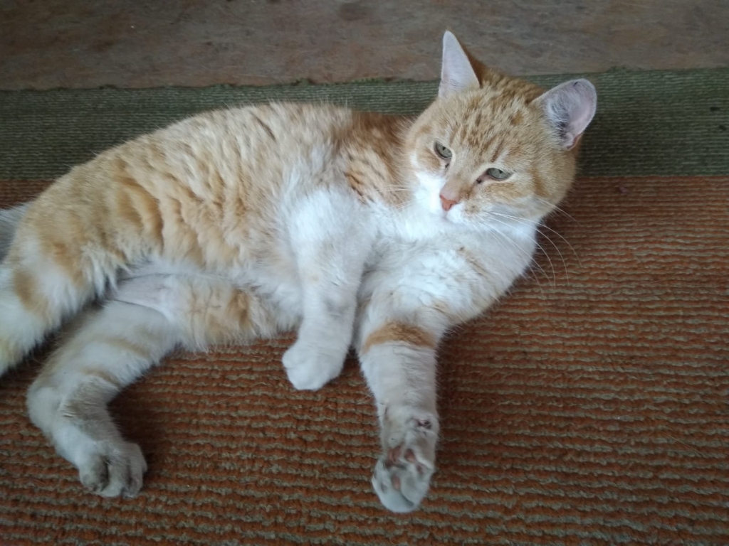 Autors: no personiskā arhīva