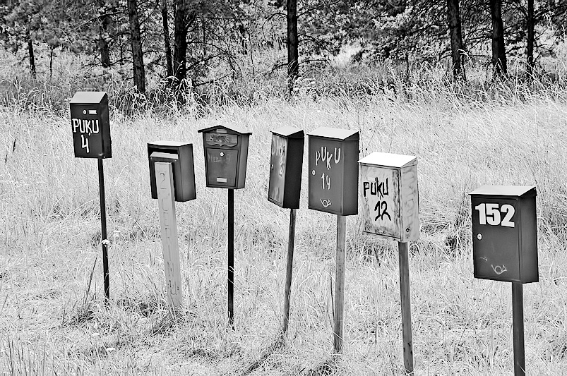 Autors: DAINIS ĢELZIS