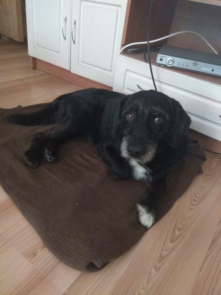 Autors: no personiskā arhīva