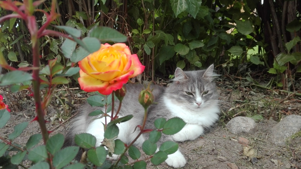 Autors: no personiskā arhīva