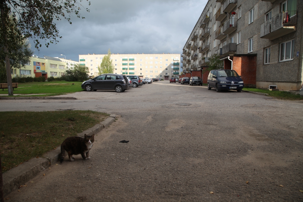 Autors: no Dzirksteles arhīva