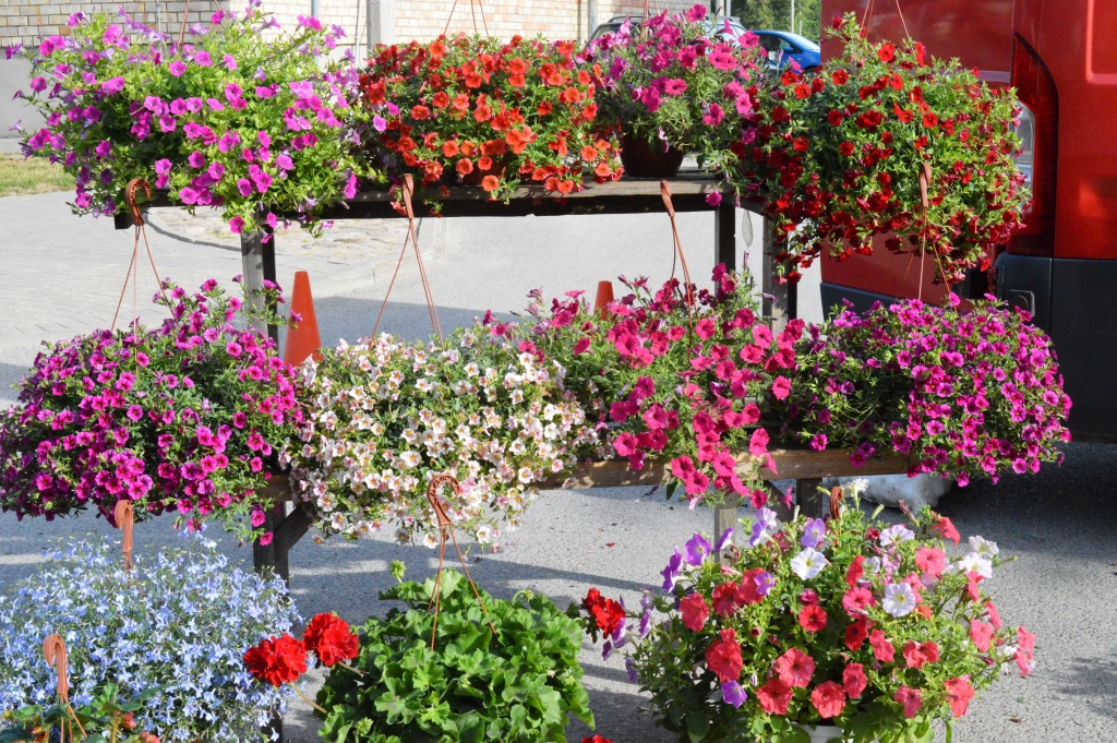 Autors: no personiskā albuma