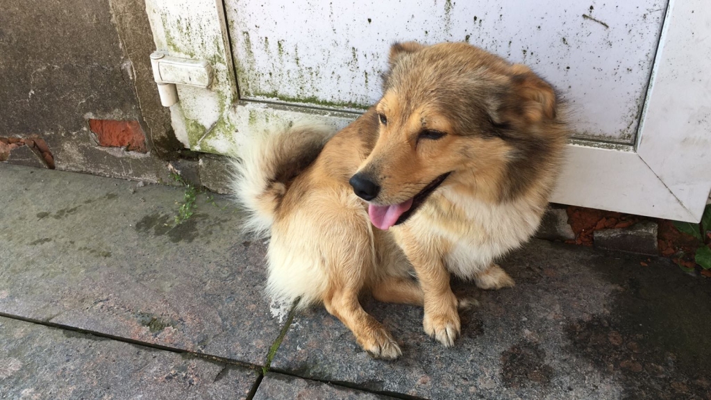 Autors: no personiskā arhīva