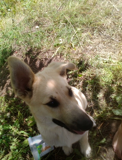 Autors: no personiskā arhīva