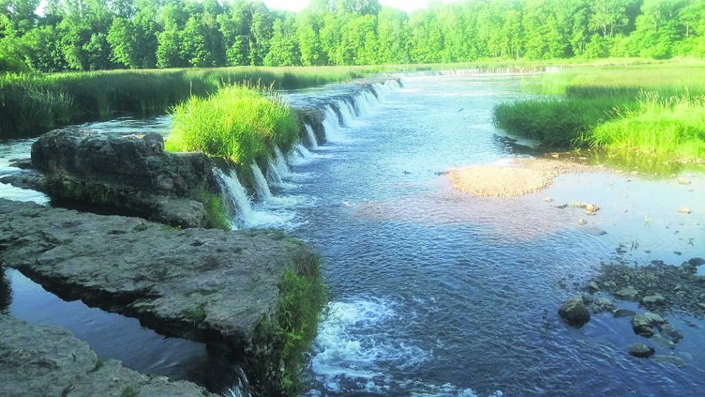 Autors: Agnese Leiburga