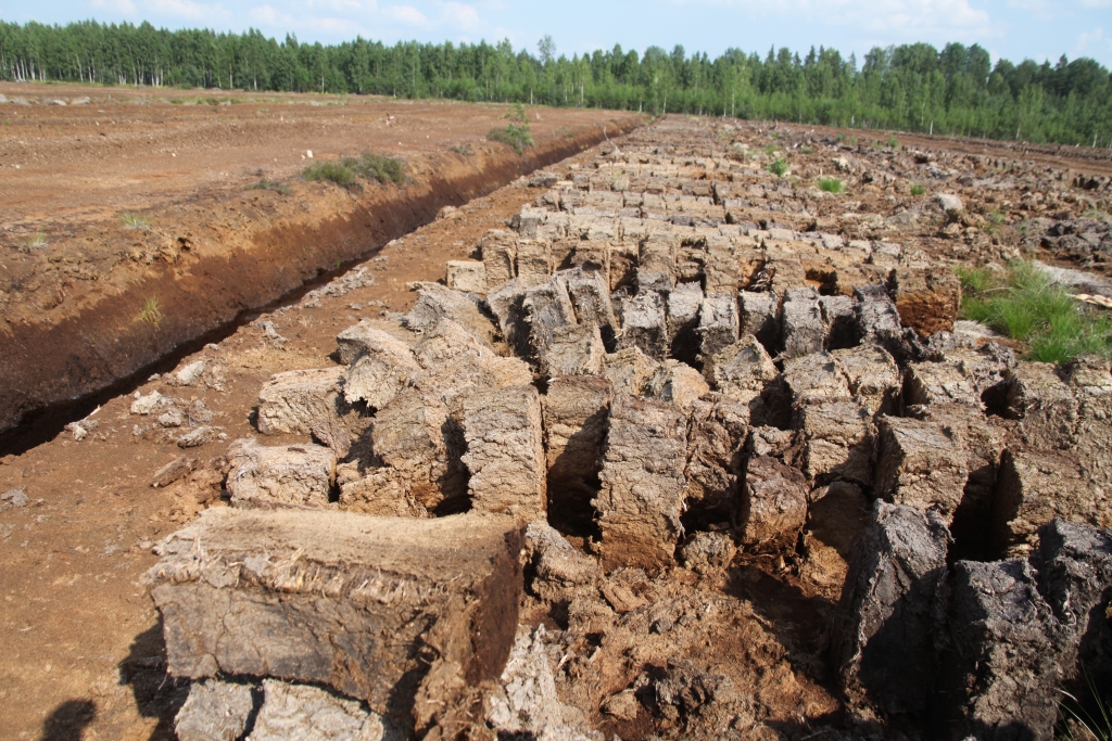 Autors: no “Dzirksteles” arhīva