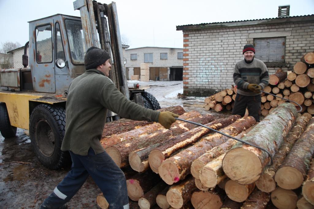 Kokzāģētavā Druvienā pārsvarā tiek zāģēts skuju koks, savukārt Tirzā – lapu koks. 
Autors: Gatis Bogdanovs