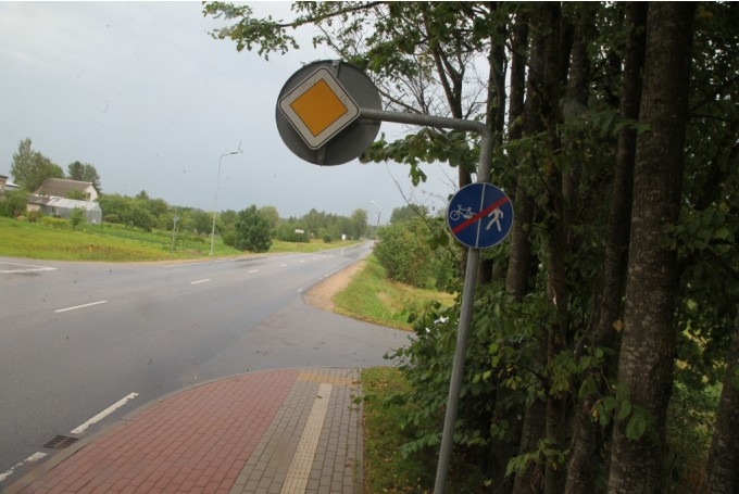 Autors: no Dzirksteles rahīva