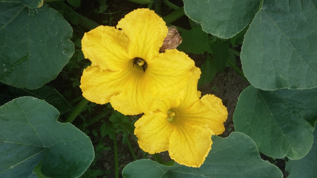 Autors: Tamāra Ulase