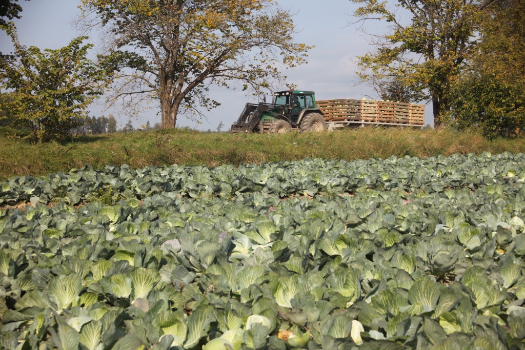 Autors: Ilustratīvs foto: no “Dzirksteles” arhīva