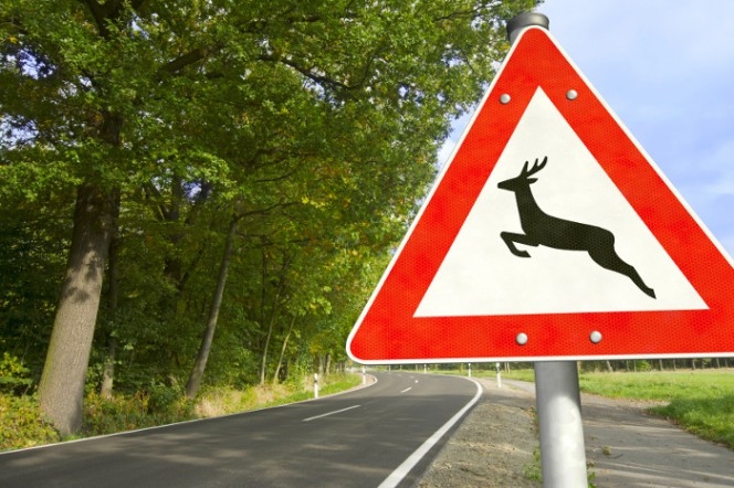 Autors: ilustratīvs