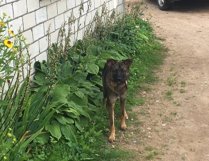 Autors: no personiskā arhīva