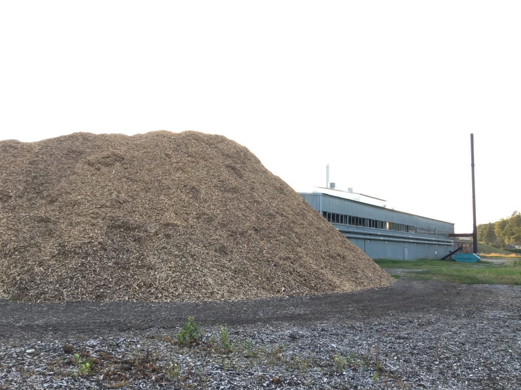 Kāpēc šķelda stāv zem klajas debess? Nākotnes ielas katlumājā par kurināmo tiek izmantota tikai koksnes šķelda, kurā mitrums var būt pat līdz 40 procentiem. To paredz tehnoloģiskais process. Ja šķelda ir sausa, to nākas speciāli mitrināt, jo citādi tehnoloģiskais process tiek traucēts. 
Autors: Diāna Odumiņa 