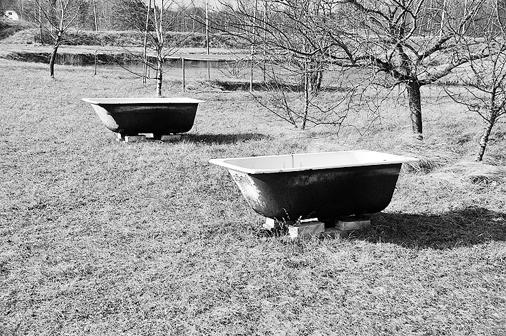 Autors: DAINIS ĢELZIS