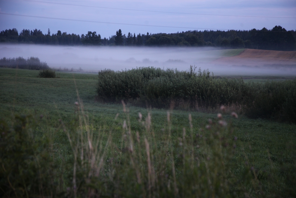 Ilustratīvs foto
Autors: Gatis Bogdanovs