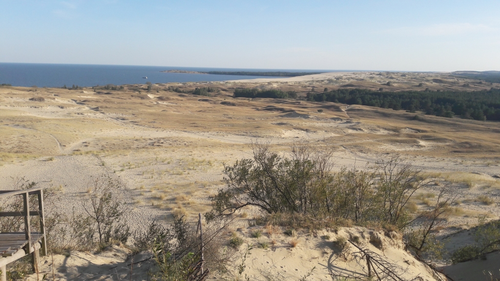 Kuršu kāpu augstākais punkts – Pārnidas vai Parnidžio kāpa, no kuras paveras skats gan uz līci, gan jūru. Šo vietu dēvē par Lietuvas vai Baltijas Sahāru.  

Autors: Ginta Alberte