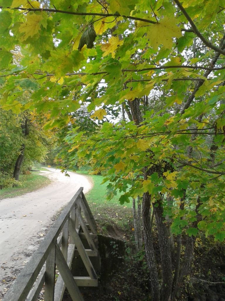 Autors: no “Dzirksteles” arhīva