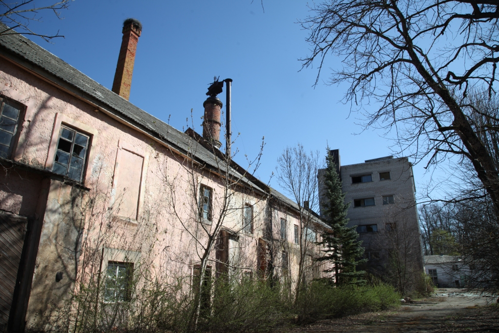 Autors: no “Dzirksteles” arhīva