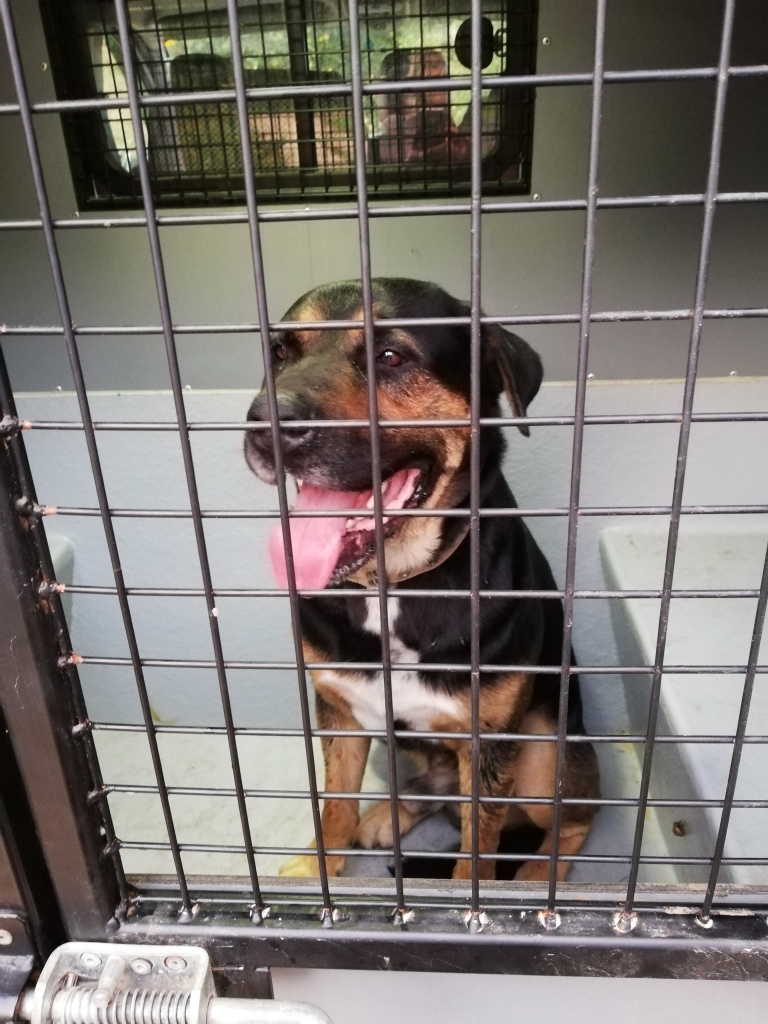 Autors: no personiskā arhīva